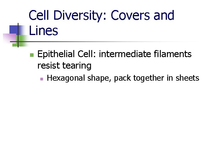 Cell Diversity: Covers and Lines n Epithelial Cell: intermediate filaments resist tearing n Hexagonal