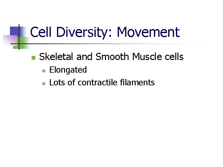 Cell Diversity: Movement n Skeletal and Smooth Muscle cells n n Elongated Lots of