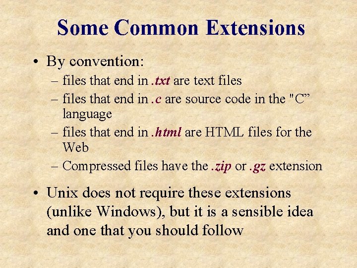 Some Common Extensions • By convention: – files that end in. txt are text