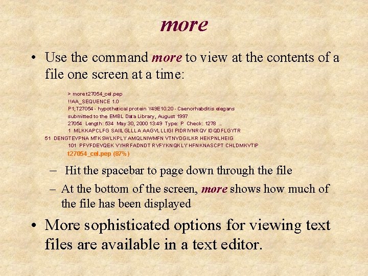 more • Use the command more to view at the contents of a file