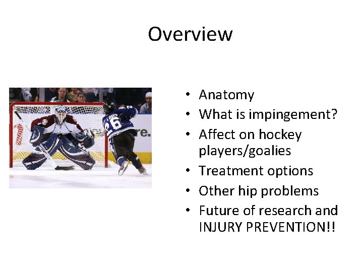 Overview • Anatomy • What is impingement? • Affect on hockey players/goalies • Treatment