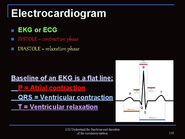 Electrocardiogram n n n EKG or ECG SYSTOLE = contraction phase DIASTOLE = relaxation