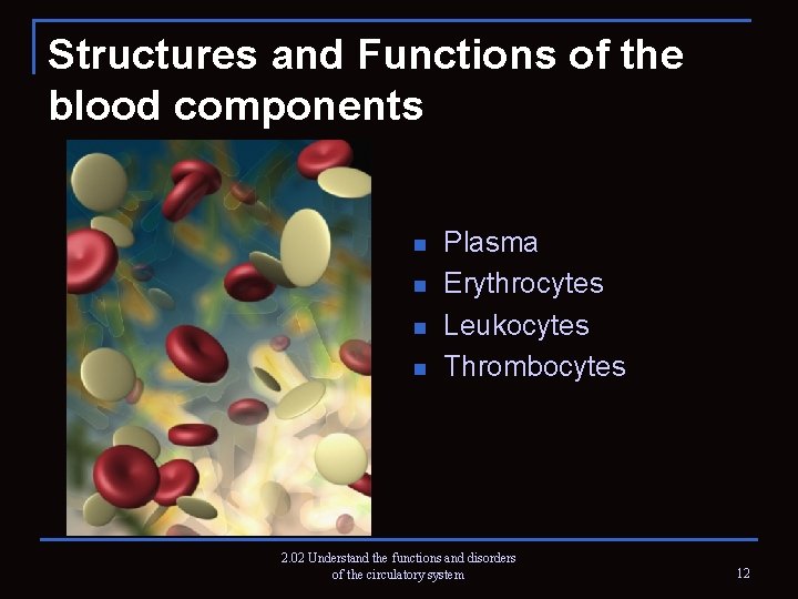 Structures and Functions of the blood components n n Plasma Erythrocytes Leukocytes Thrombocytes 2.