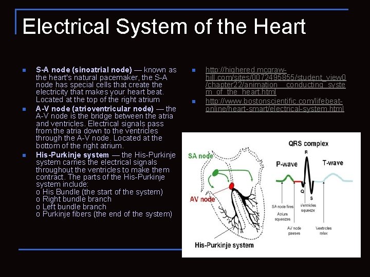 Electrical System of the Heart n n n S-A node (sinoatrial node) — known