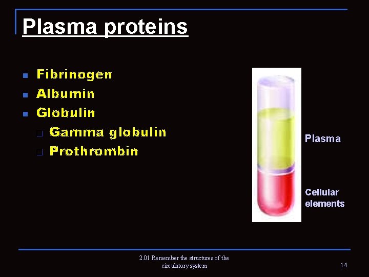 Plasma proteins n n n Fibrinogen Albumin Globulin q Gamma globulin q Prothrombin Plasma