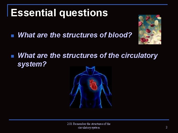 Essential questions n What are the structures of blood? n What are the structures