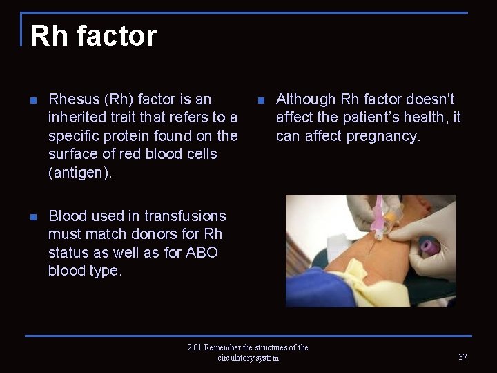 Rh factor n Rhesus (Rh) factor is an inherited trait that refers to a