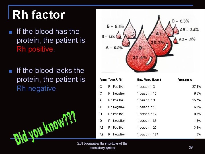 Rh factor n If the blood has the protein, the patient is Rh positive.