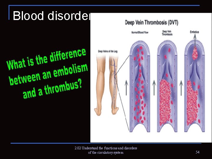 Blood disorders 2. 02 Understand the functions and disorders of the circulatory system 54