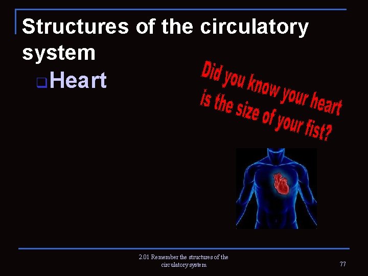 Structures of the circulatory system q Heart 2. 01 Remember the structures of the