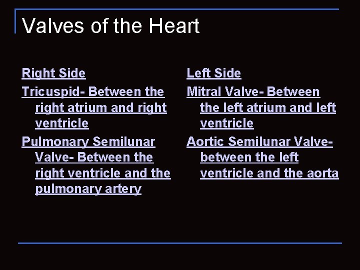 Valves of the Heart Right Side Left Side Tricuspid- Between the Mitral Valve- Between
