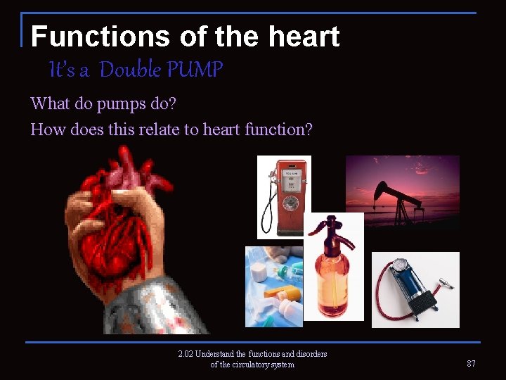 Functions of the heart It’s a Double PUMP What do pumps do? How does