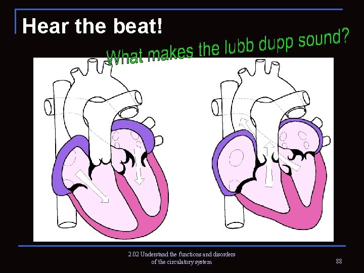 Hear the beat! 2. 02 Understand the functions and disorders of the circulatory system