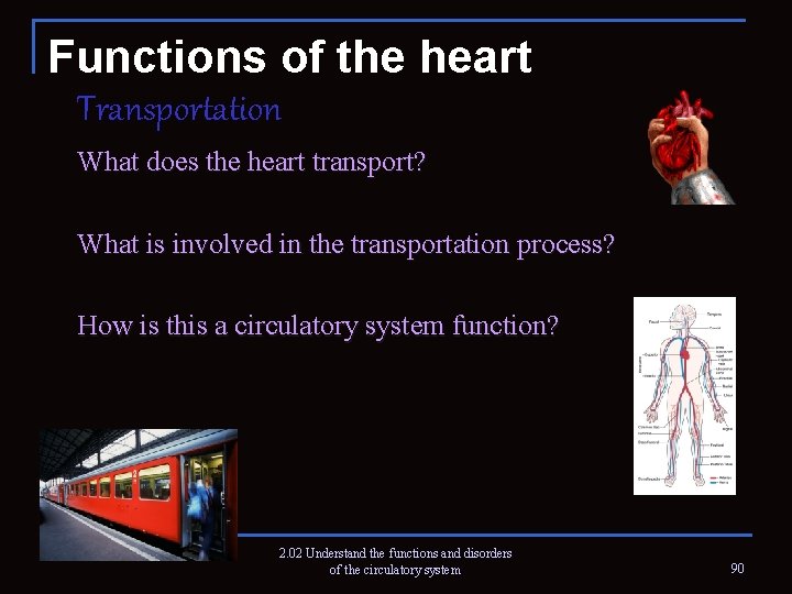 Functions of the heart Transportation What does the heart transport? What is involved in