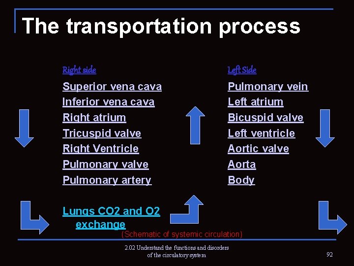 The transportation process Right side Left Side Superior vena cava Inferior vena cava Right