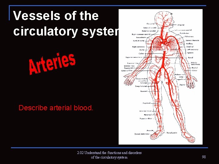 Vessels of the circulatory system Describe arterial blood. 2. 02 Understand the functions and