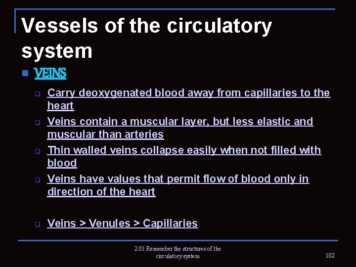 Vessels of the circulatory system n VEINS q q q Carry deoxygenated blood away