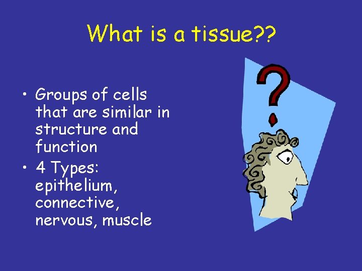 What is a tissue? ? • Groups of cells that are similar in structure