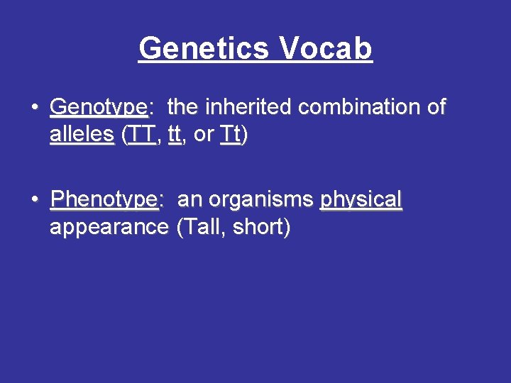Genetics Vocab • Genotype: the inherited combination of alleles (TT, tt, or Tt) •