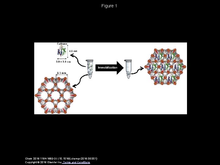 Figure 1 Chem 2016 1154 -169 DOI: (10. 1016/j. chempr. 2016. 05. 001) Copyright