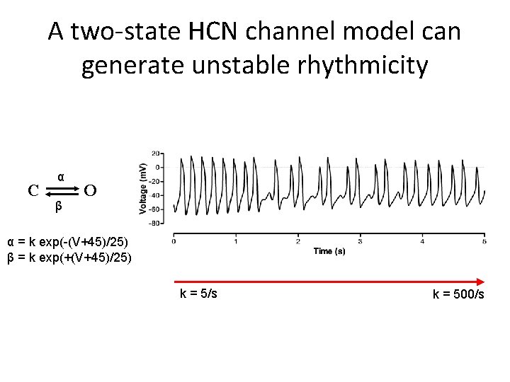 A two-state HCN channel model can generate unstable rhythmicity C α β O α