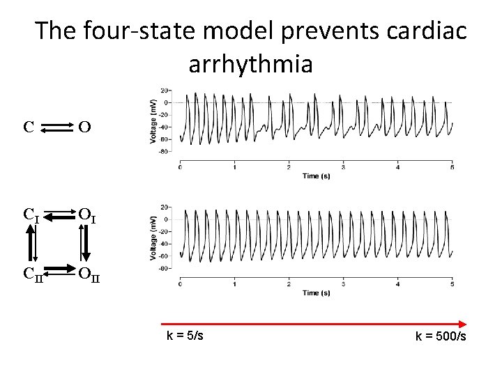 The four-state model prevents cardiac arrhythmia C O CI OI CII OII k =