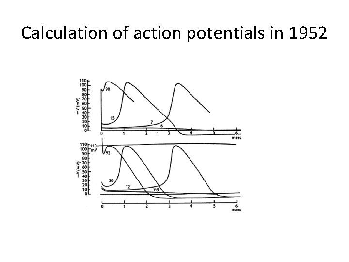 Calculation of action potentials in 1952 