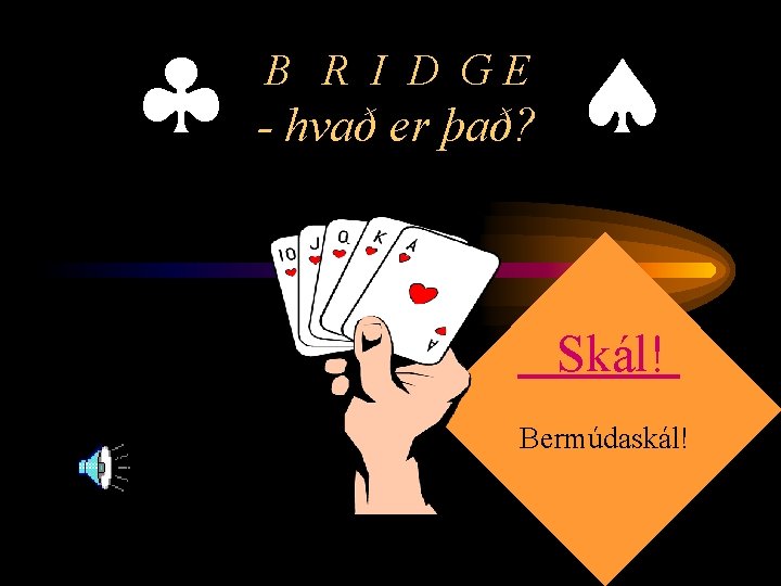  B R I D GE - hvað er það? Skál! Bermúdaskál! 