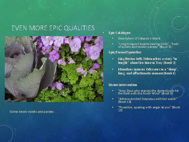 EVEN MORE EPIC QUALITIES • • • Some lovely violets and parsley… Epic Catalogue