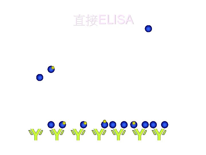 直接ELISA 