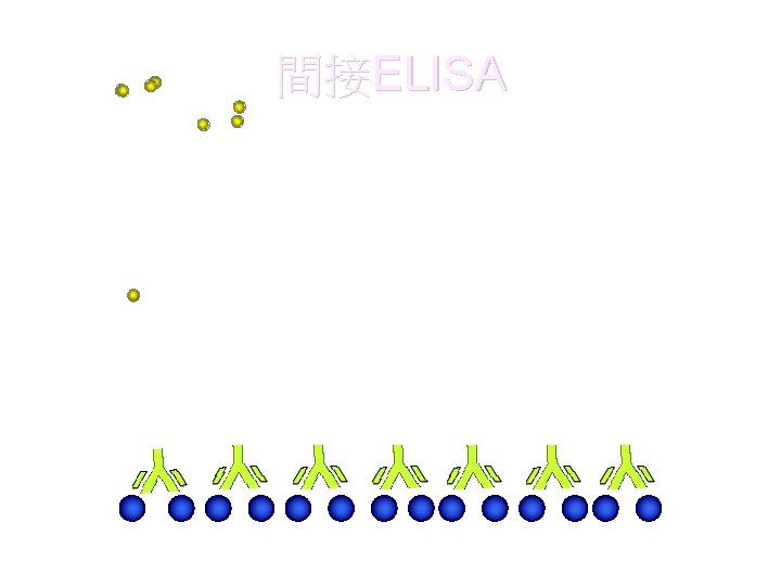 間接ELISA 