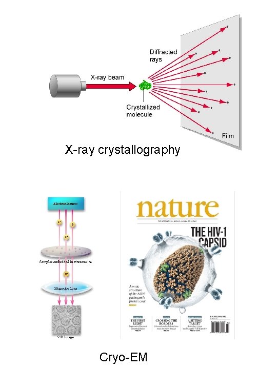 X-ray crystallography Cryo-EM 