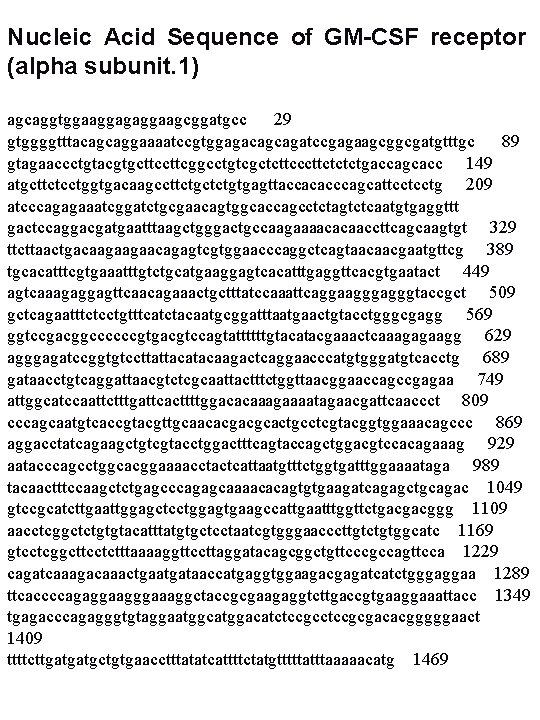 Nucleic Acid Sequence of GM-CSF receptor (alpha subunit. 1) agcaggtggaaggagaggaagcggatgcc 29 gtggggtttacagcaggaaaatccgtggagacagcagatccgagaagcggcgatgtttgc 89 gtagaaccctgtacgtgcttcggcctgtcgctcttcccttctctctgaccagcacc