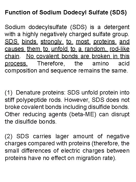 Function of Sodium Dodecyl Sulfate (SDS) Sodium dodecylsulfate (SDS) is a detergent with a