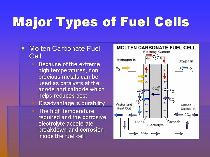 Major Types of Fuel Cells § Molten Carbonate Fuel Cell § Because of the
