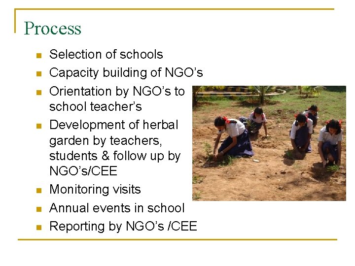 Process n n n n Selection of schools Capacity building of NGO’s Orientation by