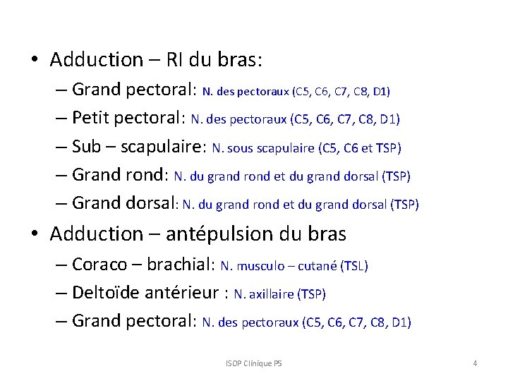  • Adduction – RI du bras: – Grand pectoral: N. des pectoraux (C