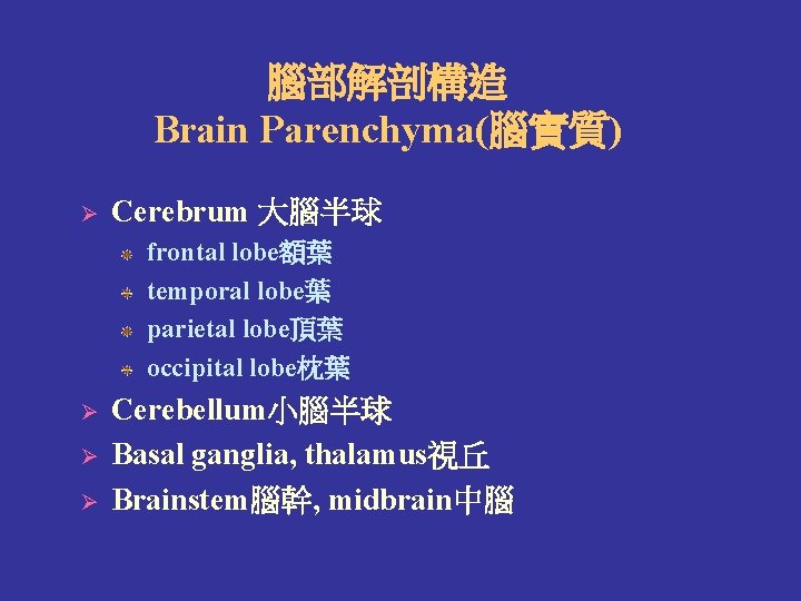 腦部解剖構造 Brain Parenchyma(腦實質) Ø Cerebrum 大腦半球 frontal lobe額葉 temporal lobe葉 parietal lobe頂葉 occipital lobe枕葉 腦部解剖構造 Brain Parenchyma(腦實質) Ø Cerebrum 大腦半球 frontal lobe額葉 temporal lobe葉 parietal lobe頂葉 occipital lobe枕葉