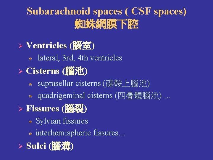 Subarachnoid spaces ( CSF spaces) 蜘蛛網膜下腔 Ø Ventricles (腦室) lateral, 3 rd, 4 th