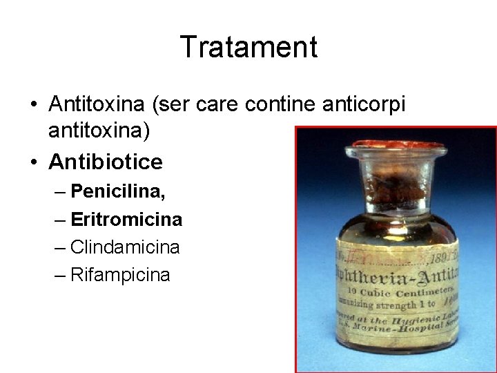 Tratament • Antitoxina (ser care contine anticorpi antitoxina) • Antibiotice – Penicilina, – Eritromicina