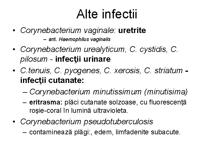 Alte infectii • Corynebacterium vaginale: uretrite – ant. Haemophilus vaginalis • Corynebacterium urealyticum, C.