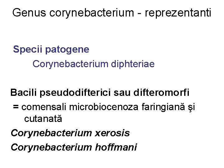Genus corynebacterium - reprezentanti Specii patogene Corynebacterium diphteriae Bacili pseudodifterici sau difteromorfi = comensali