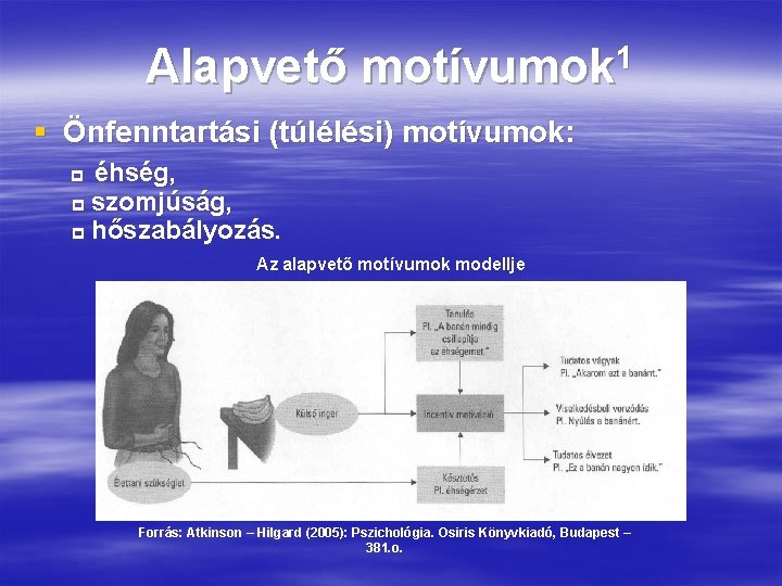 Alapvető 1 motívumok § Önfenntartási (túlélési) motívumok: éhség, szomjúság, hőszabályozás. Az alapvető motívumok modellje Alapvető 1 motívumok § Önfenntartási (túlélési) motívumok: éhség, szomjúság, hőszabályozás. Az alapvető motívumok modellje