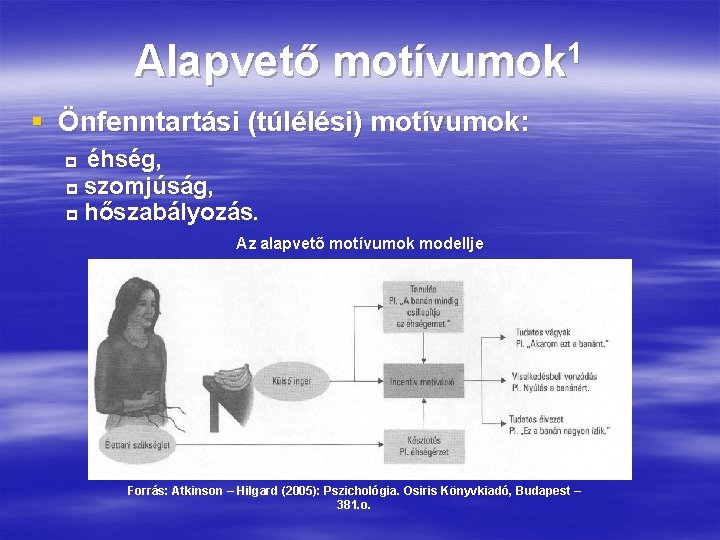 Alapvető 1 motívumok § Önfenntartási (túlélési) motívumok: éhség, szomjúság, hőszabályozás. Az alapvető motívumok modellje