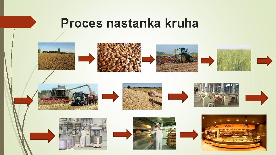 Proces nastanka kruha 