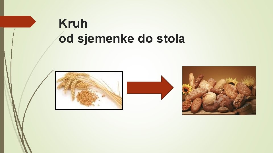 Kruh od sjemenke do stola 