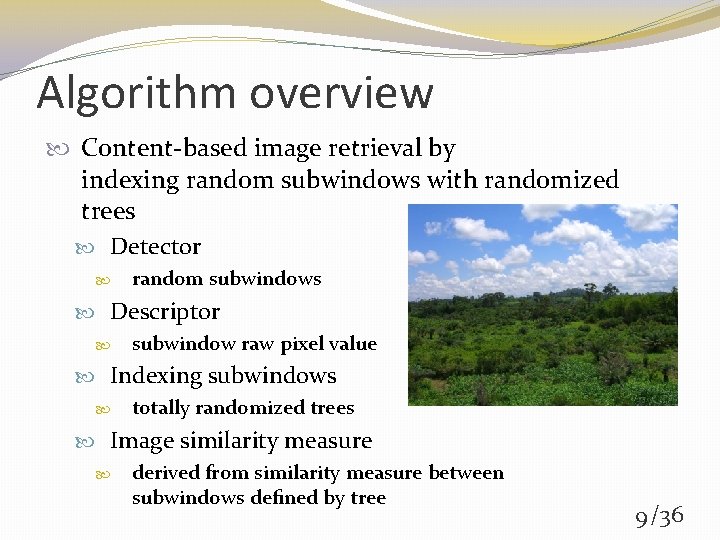 Algorithm overview Content-based image retrieval by indexing random subwindows with randomized trees Detector random