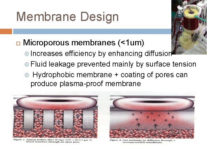 Membrane Design Microporous membranes (<1 um) Increases efficiency by enhancing diffusion Fluid leakage prevented