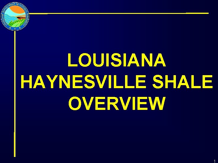 LOUISIANA HAYNESVILLE SHALE OVERVIEW 1 