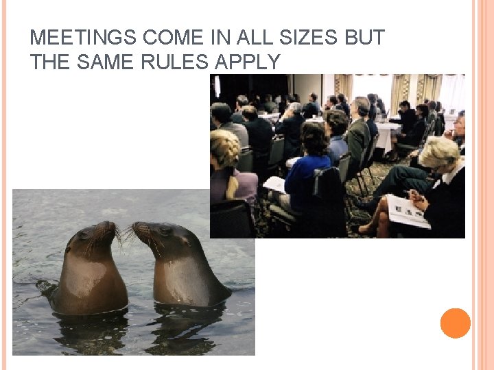 MEETINGS COME IN ALL SIZES BUT THE SAME RULES APPLY 